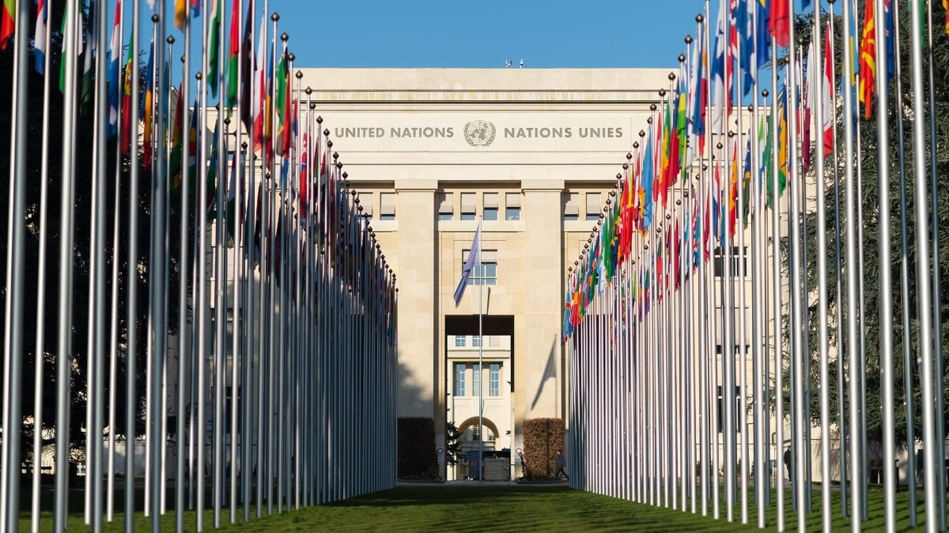 С января 2025 года в Сирии были похищены или пропали без вести как минимум 97 человек — УВКПЧ ООН